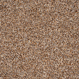 Okra 38 Darius 50oz Invictus Carpet