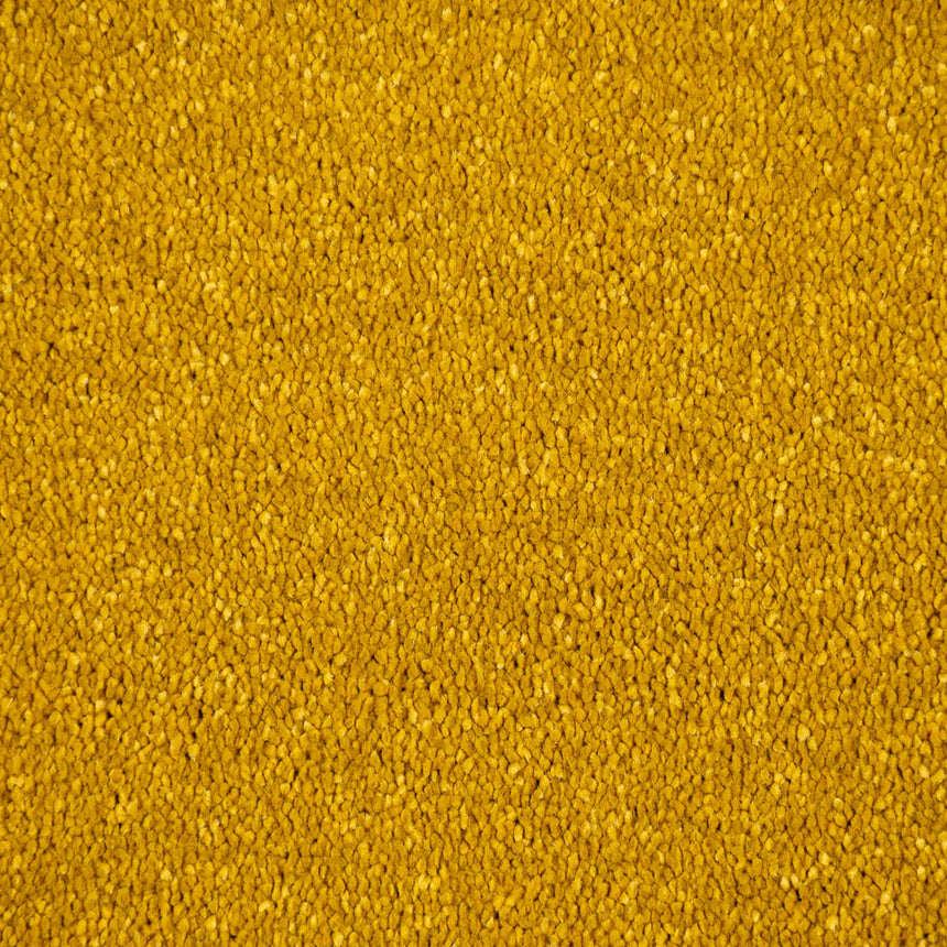 Old Gold Stainfree Caress Carpet by Abingdon