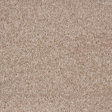 Oyster 303 Dublin Twist Actionback Carpet Clearance