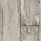 Painted Wood Grey Iconik 260 Vinyl Flooring