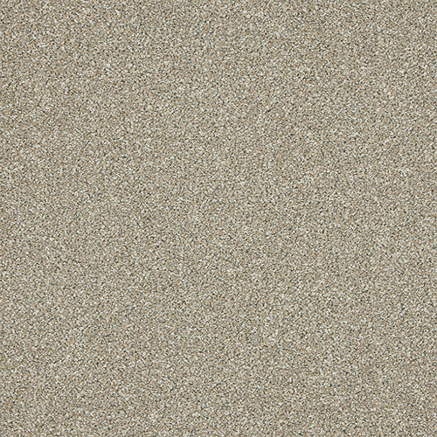Stainfree Knightsbridge Berber Carpet by Abingdon