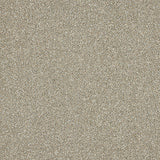 Stainfree Knightsbridge Berber Carpet by Abingdon