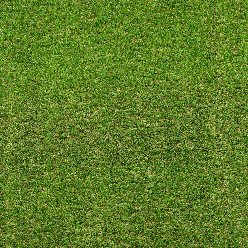 Palm Springs 47mm Artificial Grass