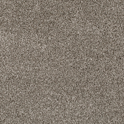Parchment 76 Serano Elite Intenza Carpet 4.2m x 5m Remnant