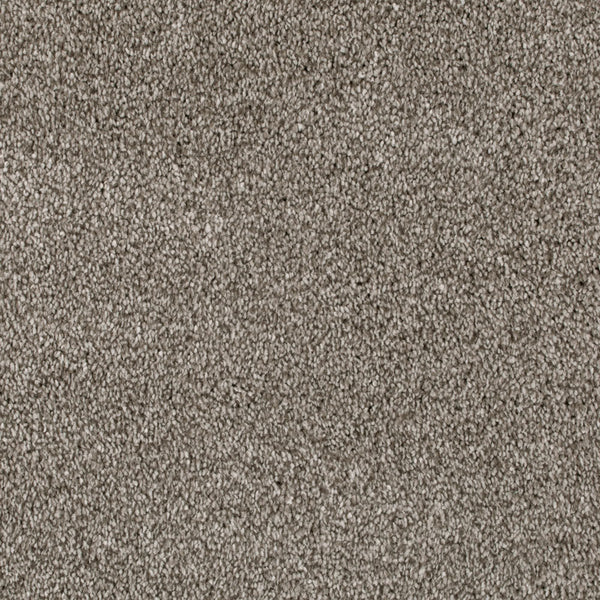 Parchment 76 Serano Elite Intenza Carpet 4.2m x 5m Remnant