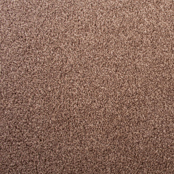 Parchment 90 Sacramento Classic Carpet 4.14m x 5m Remnant