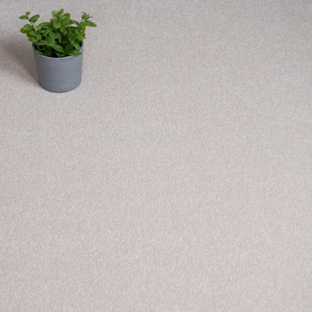 Parchment Hamlet Saxony Carpet