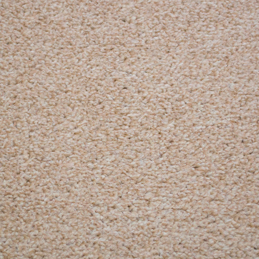 Pearl 305 Dublin Heather Twist Actionback Carpet Clearance