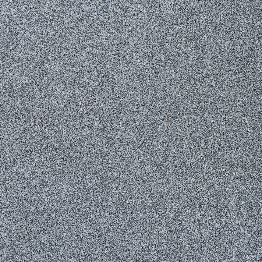 StainGuard Harvest Heathers Supreme Carpet