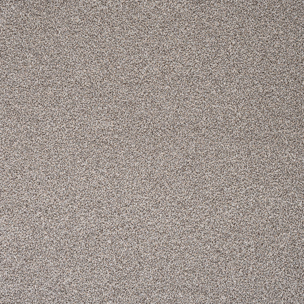 Pebble Greige 92 Pisa Saxony Carpet