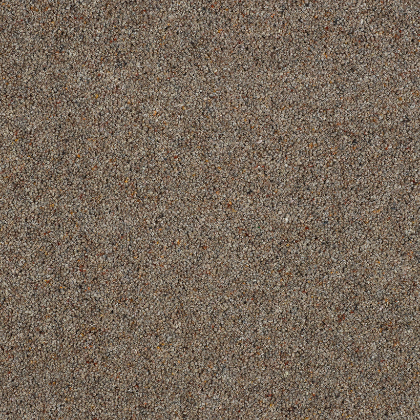 Royal Windsor Charter Berber Deluxe Carpet by Abingdon