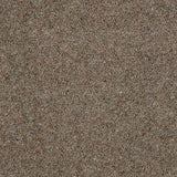 Royal Windsor Charter Berber Deluxe Carpet by Abingdon
