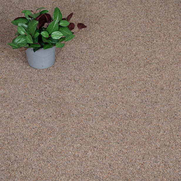 Pecan Wilton Royal Charter Berber Deluxe Carpet by Abingdon