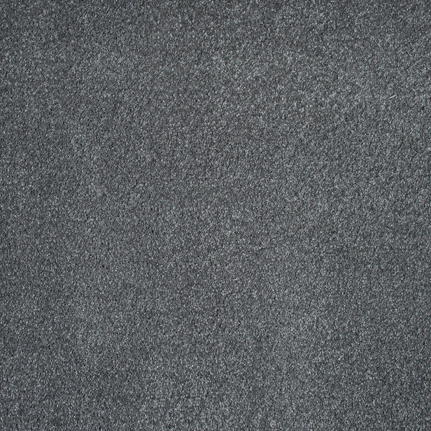 Pewter 97 Magnificus Invictus Supreme Carpet