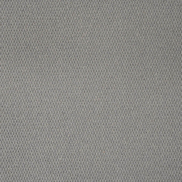 Pewter Grey Florida Loop Carpet