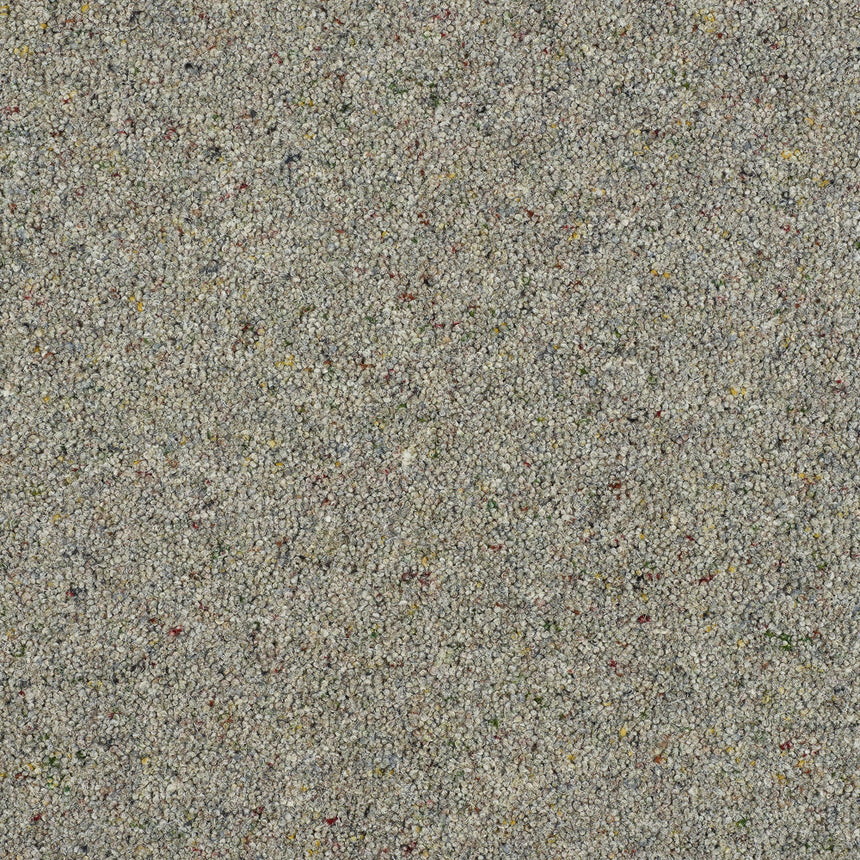Royal Windsor Charter Berber Deluxe Carpet by Abingdon