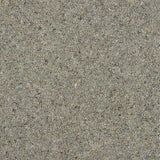Royal Windsor Charter Berber Deluxe Carpet by Abingdon