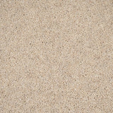 Pine Nut Woodland Heather 55oz Twist Deluxe Carpet by Cormar