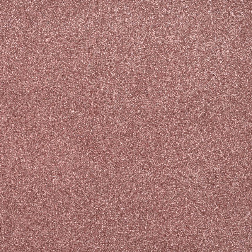 Pink Whisper Stainfree Caress Carpet by Abingdon