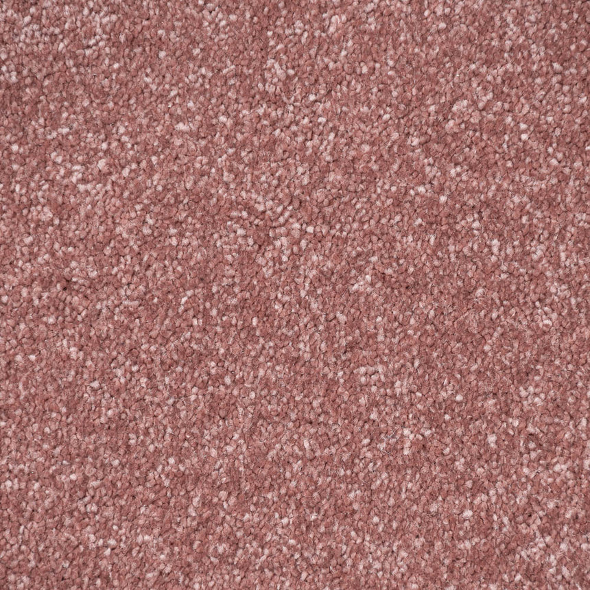 Pink Whisper Stainfree Caress Carpet by Abingdon