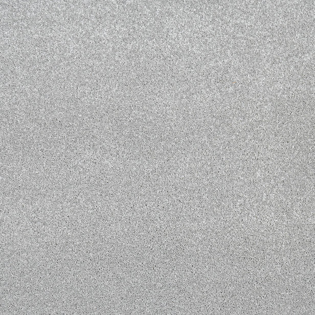 Platinum Aspire Twist Carpet