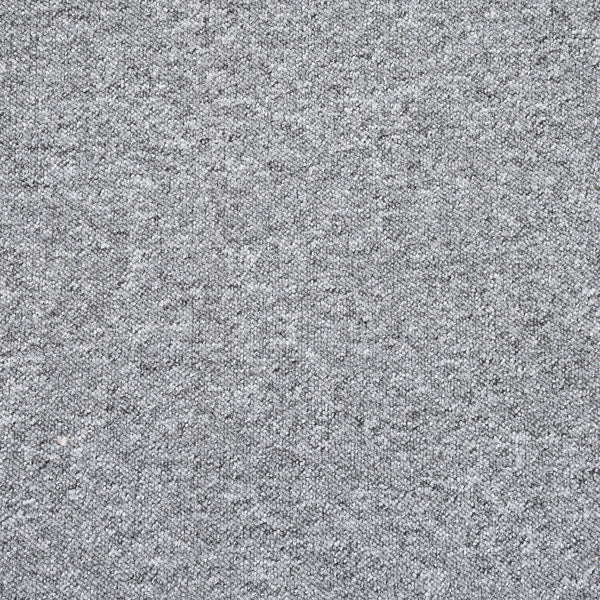 Platinum Utah Loop Feltback Carpet