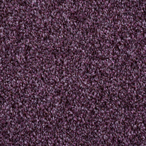Plum Louisiana Saxony Carpet
