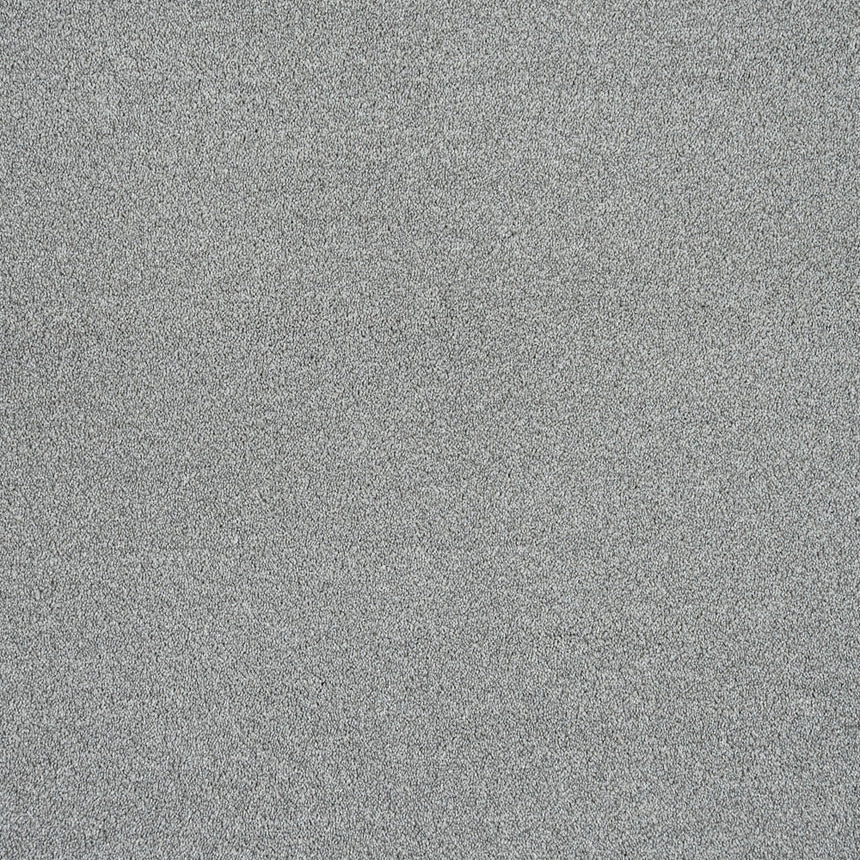 Polished Silver Harewood Saxony Carpet