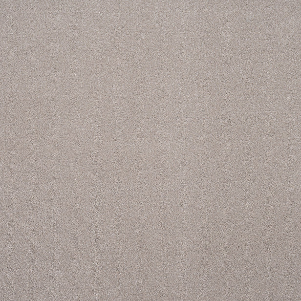 Porcelain Regal Saxony Carpet