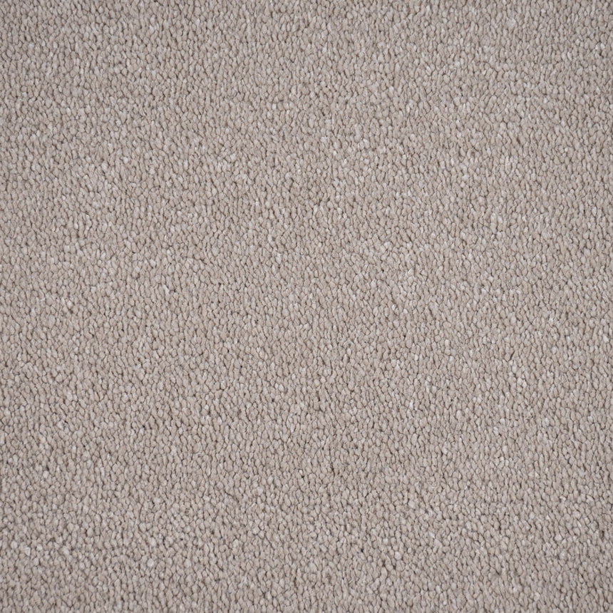 Porcelain Regal Saxony Carpet