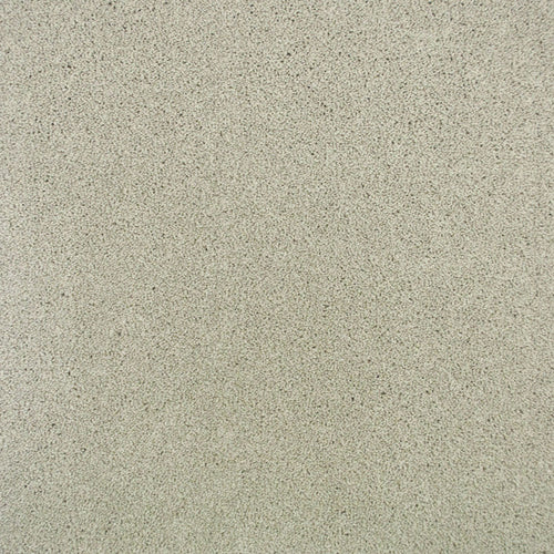 Moonstone 174 Premium Carpet 5.5m x 5m Remnant