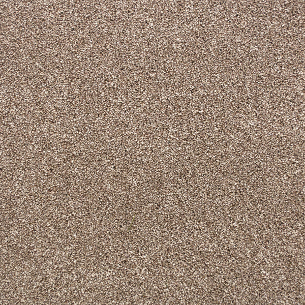 Latte 90 Premium Carpet 5m x 5m Remnant
