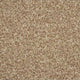Curlew Primo Ultra Carpet Clearance