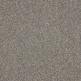 Stainfree Knightsbridge Berber Carpet by Abingdon