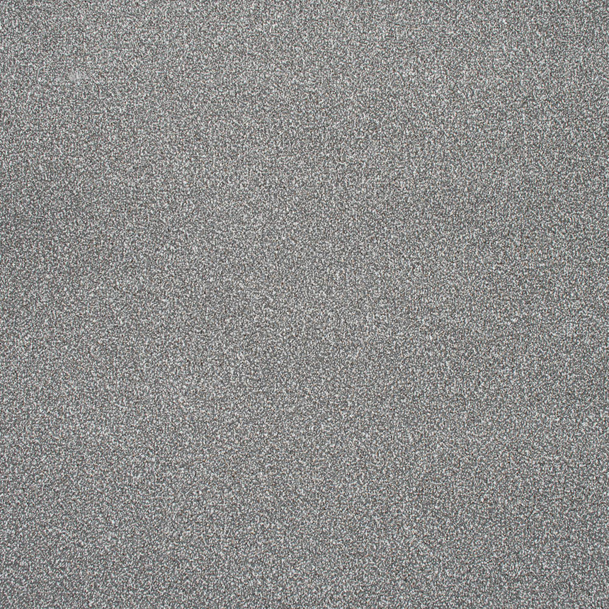 Pumice Blend Stainfree Knightsbridge Berber Carpet by Abingdon