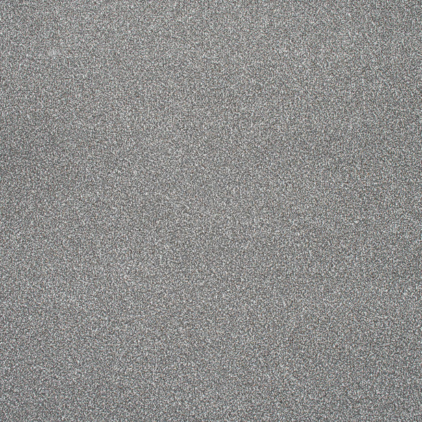 Pumice Blend Stainfree Knightsbridge Berber Carpet by Abingdon