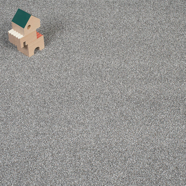 Pumice Blend Stainfree Knightsbridge Berber Carpet by Abingdon