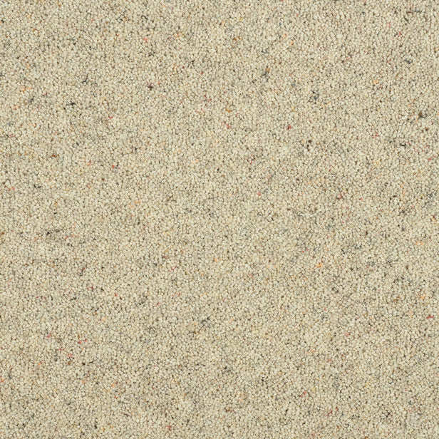 Pumice Royal Windsor Charter Berber Deluxe Carpet by Abingdon