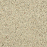 Royal Windsor Charter Berber Deluxe Carpet by Abingdon