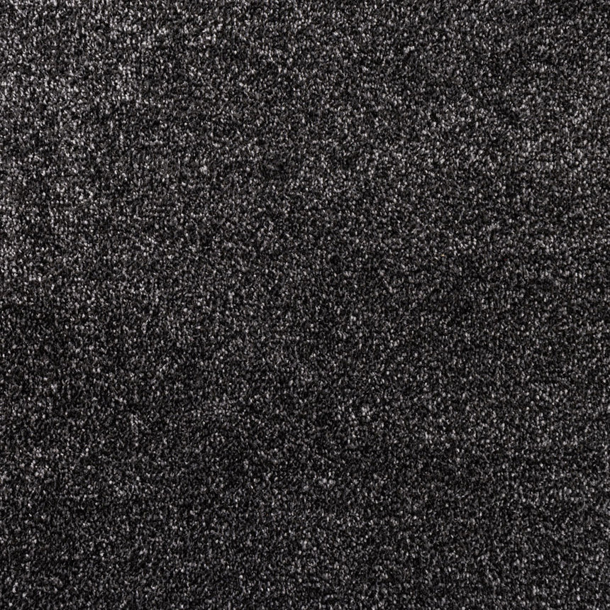 Raven 78 Alps Twist Carpet 2m x 4m Remnant