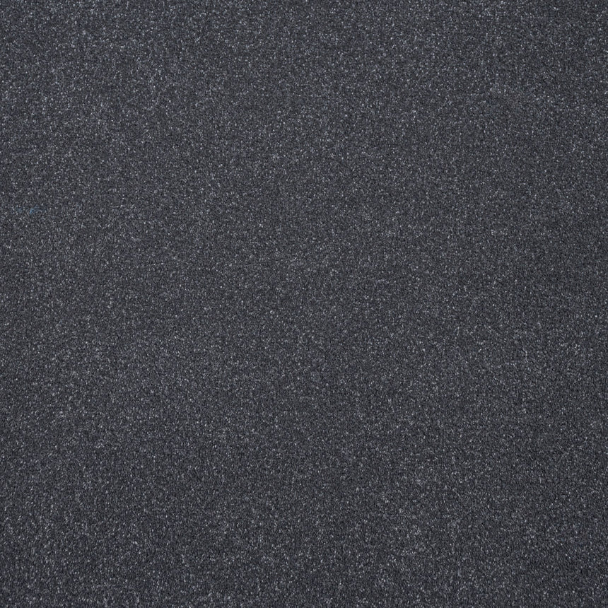 Raven Regal Saxony Carpet