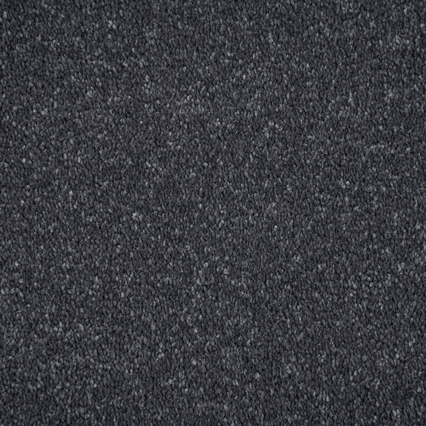 Raven Regal Saxony Carpet