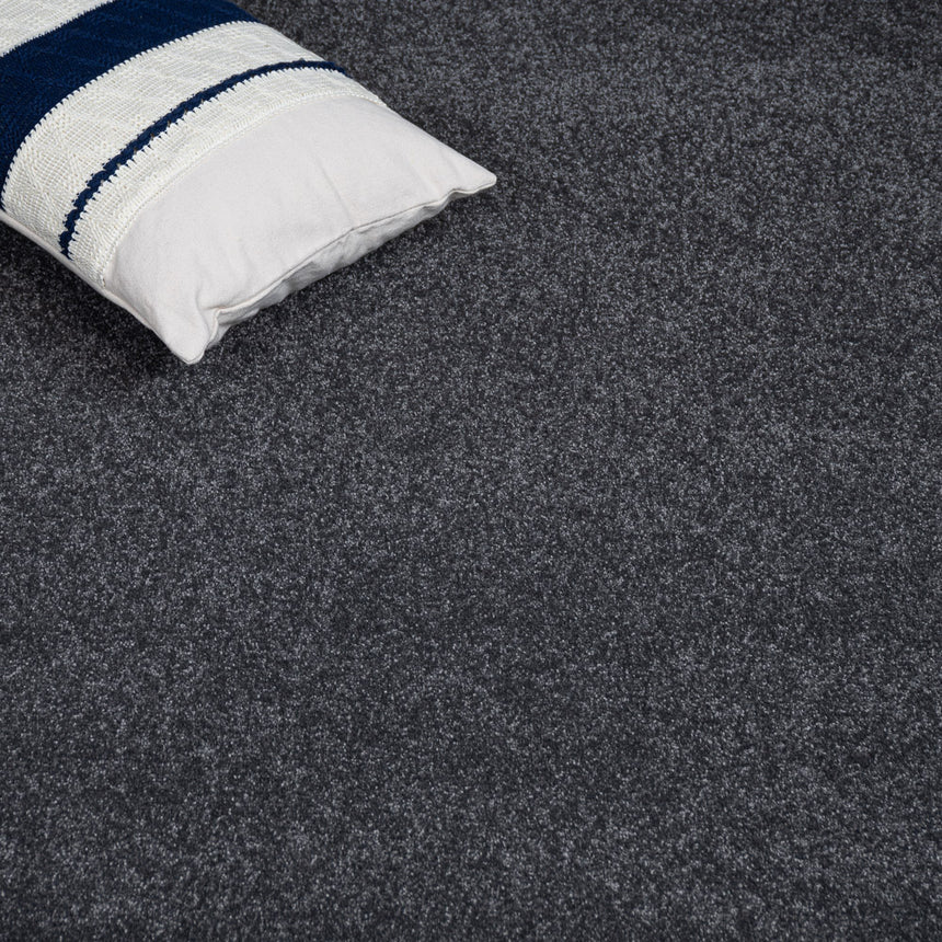 Raven Regal Saxony Carpet