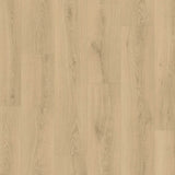 Raw Oak CLM5788