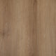 Regal Oak