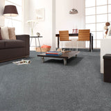 Rich Grey Hartwell Saxony Carpet