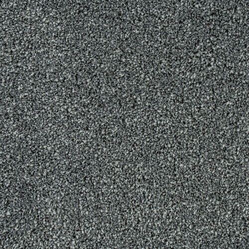 Rich Grey Indiana Saxony Carpet 4.2m x 5m Remnant
