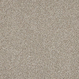 Stainfree Knightsbridge Berber Carpet by Abingdon