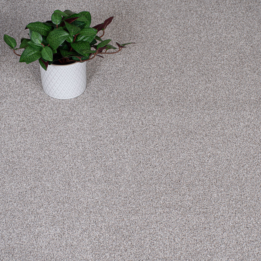 Riverrock Stainfree Knightsbridge Berber Carpet by Abingdon