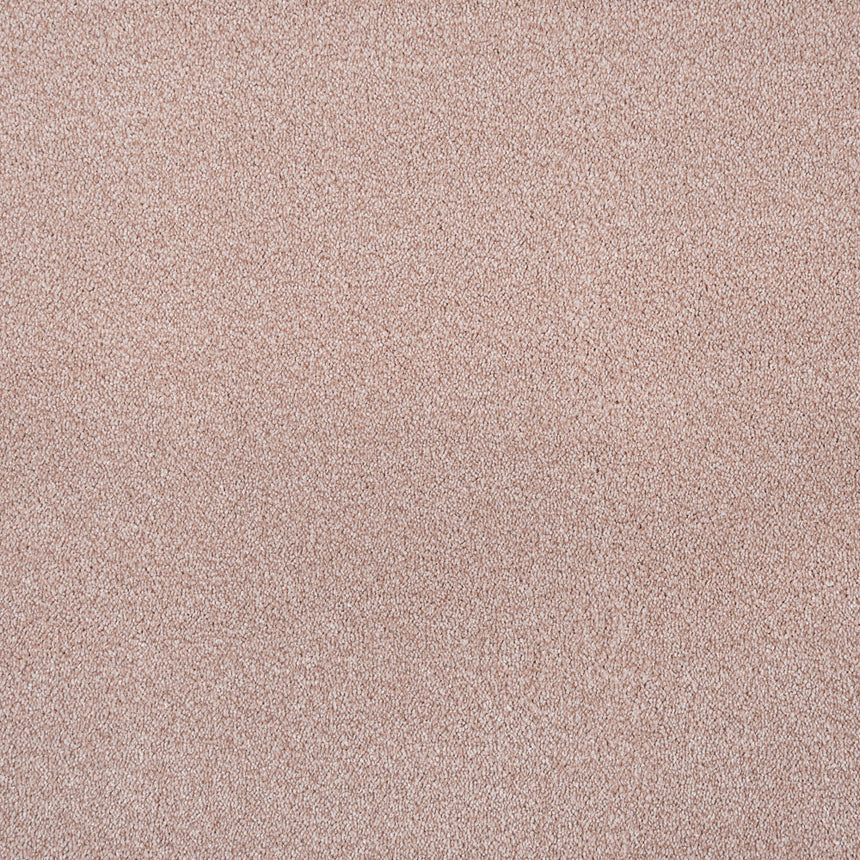 Soft Noble Saxony Carpet Clearance